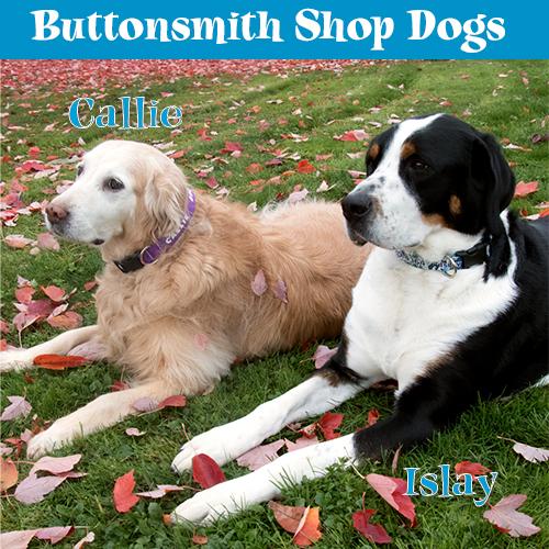 Buttonsmith Aqua Dots Dog Collar - Made in USA - Buttonsmith Inc.