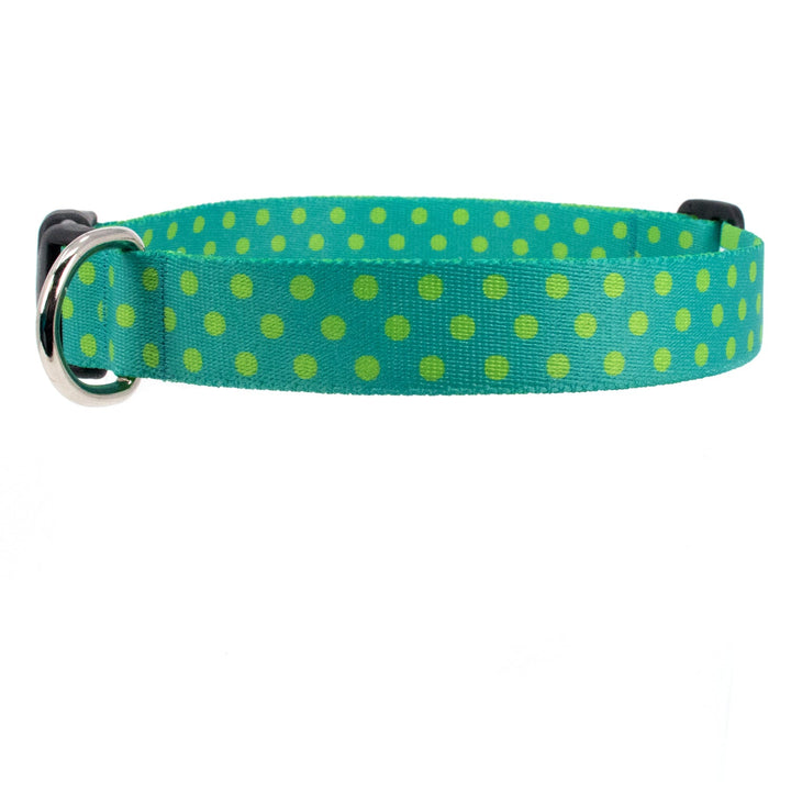 Buttonsmith Aqua Dots Dog Collar - Made in USA - Buttonsmith Inc.