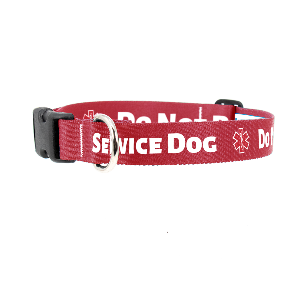 DoNotPet-Red Dog Collar - Made in USA