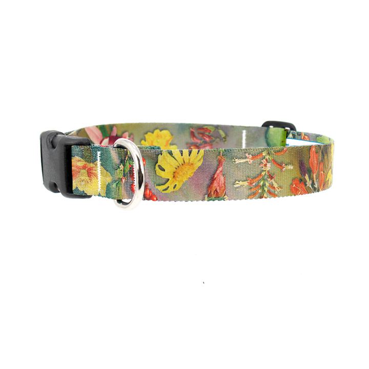 Desert Blooms Dog Collar - Made in USA