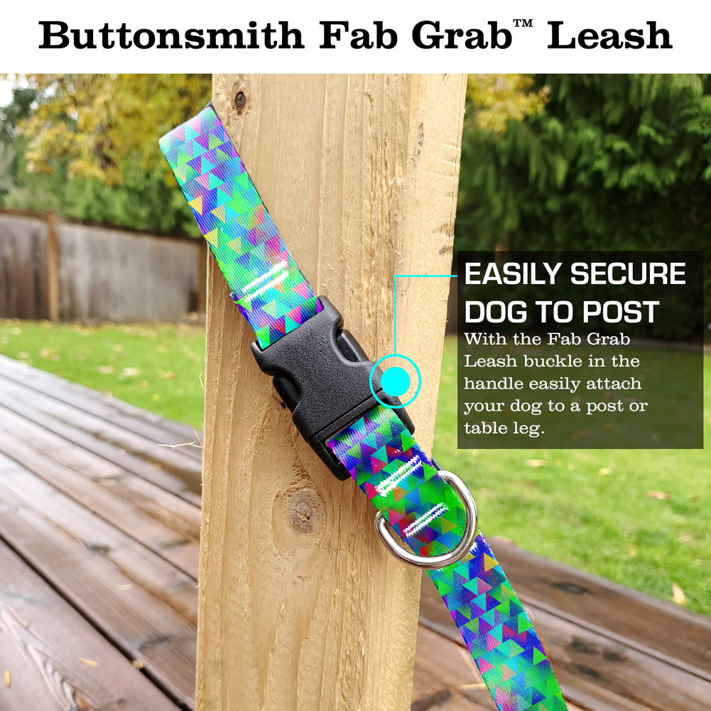 Intensity Triangular Fab Grab Leash - Made in USA