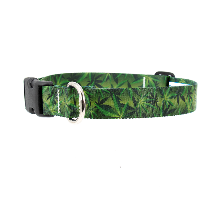 Cannabis Dog Collar - Made in USA