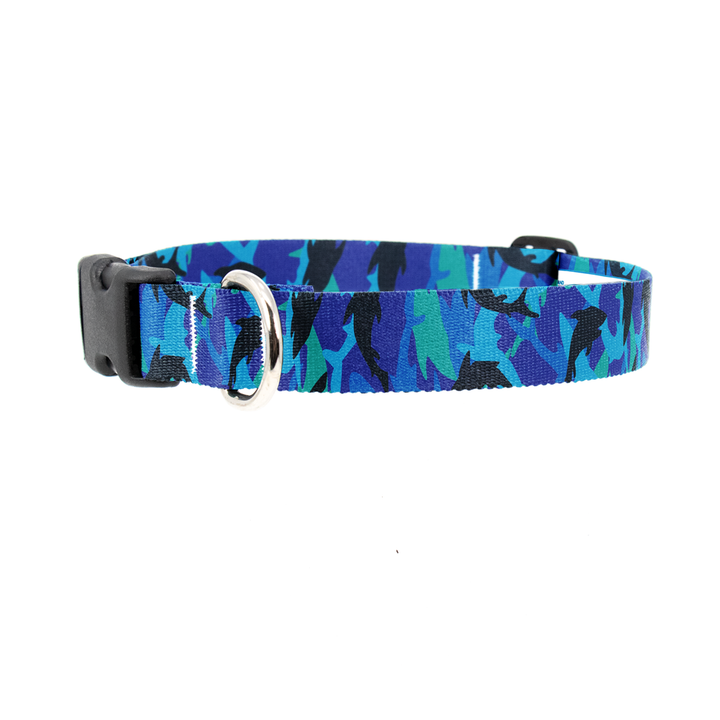 Shark Frenzy Dog Collar - Made in USA