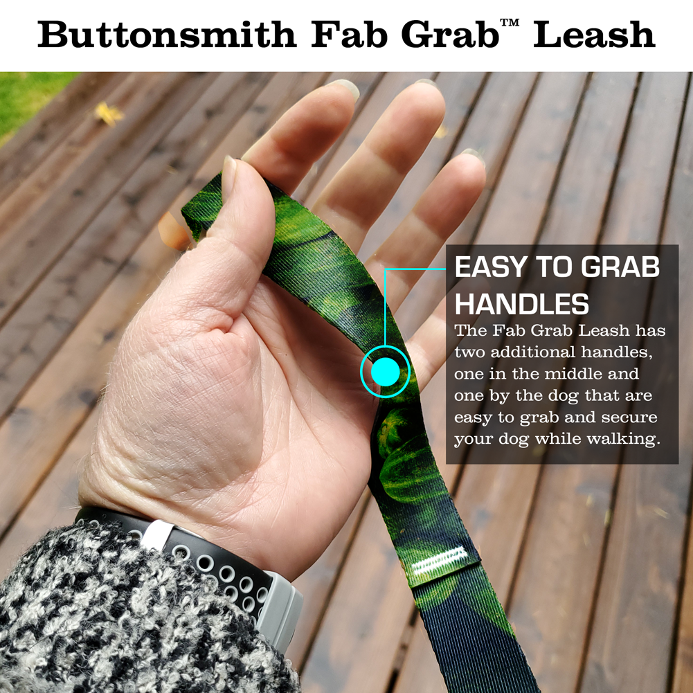 Pickles Fab Grab Leash - Made in USA