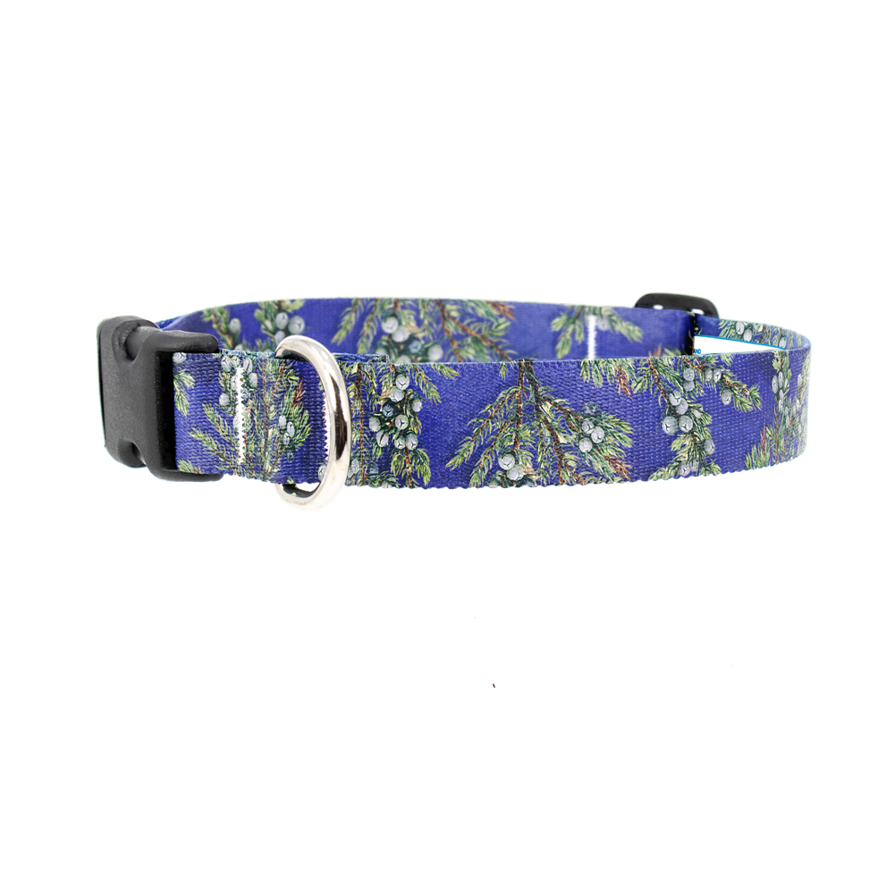 Juniper Dog Collar - Made in USA