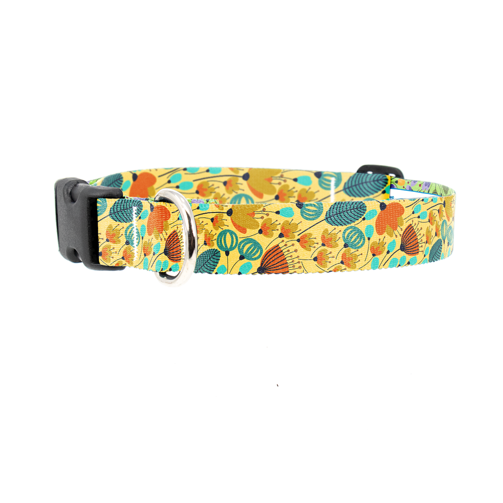 Orange & Aqua Flowers Dog Collar - Made in USA