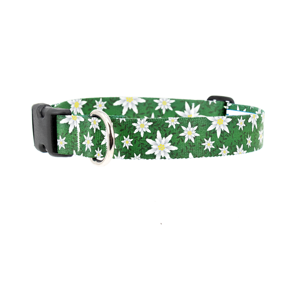 Edelweiss Dog Collar - Made in USA