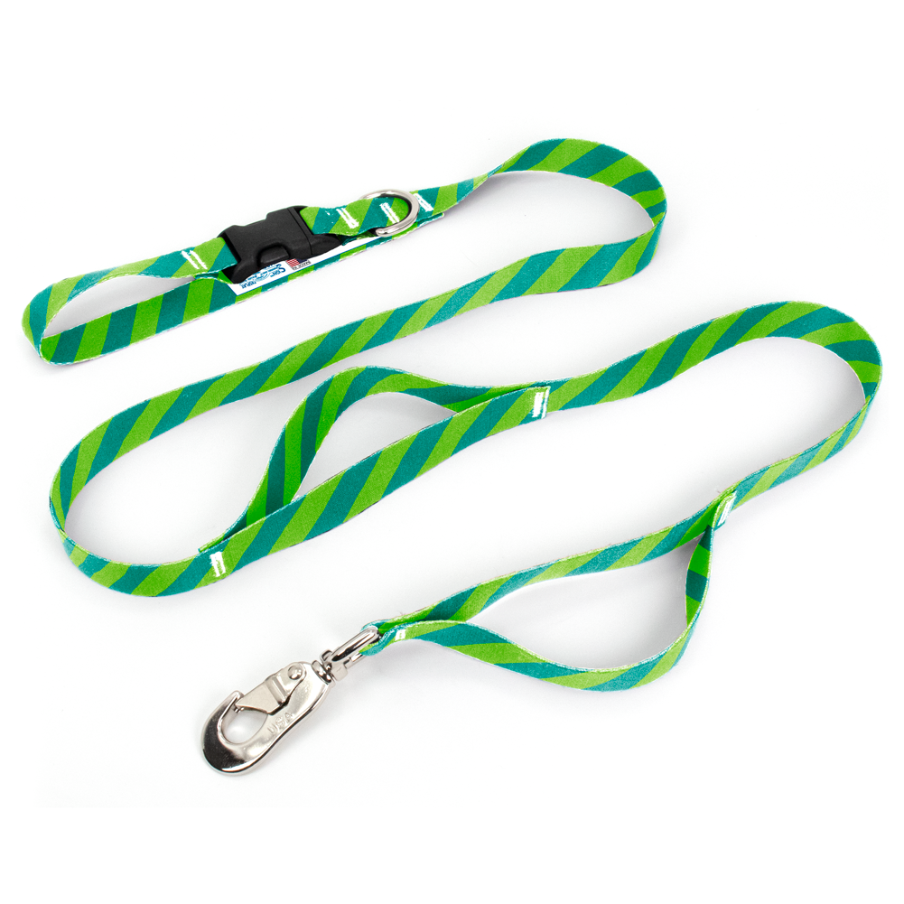 Stripes Aqua Fab Grab Leash - Made in USA