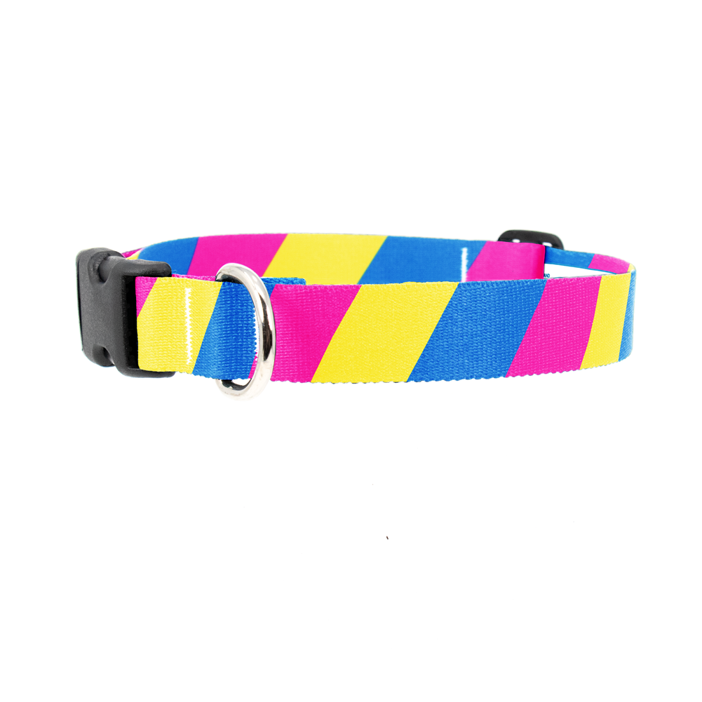 Pan Sexual Pride Dog Collar - Made in USA