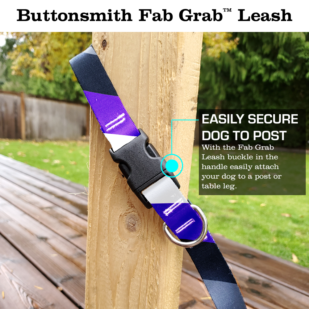 Pride Asexual Fab Grab Leash - Made in USA