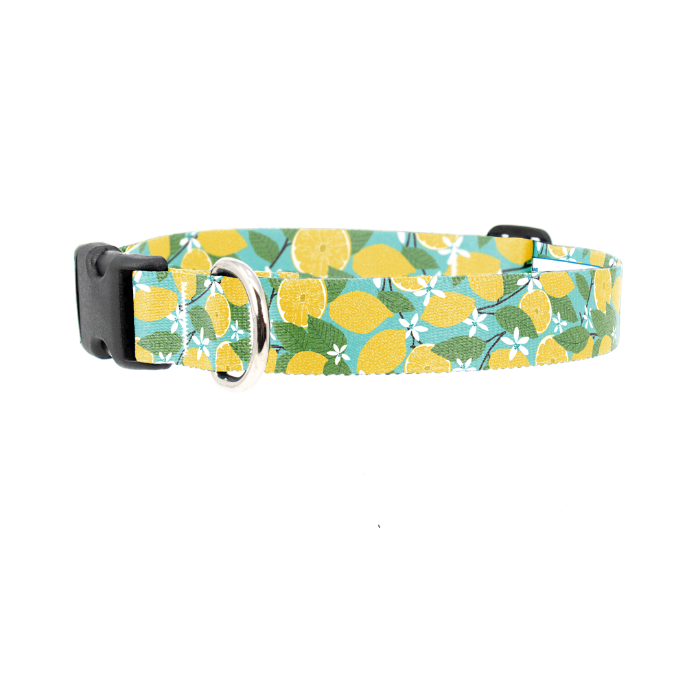 Lemon Grove Dog Collar - Made in USA