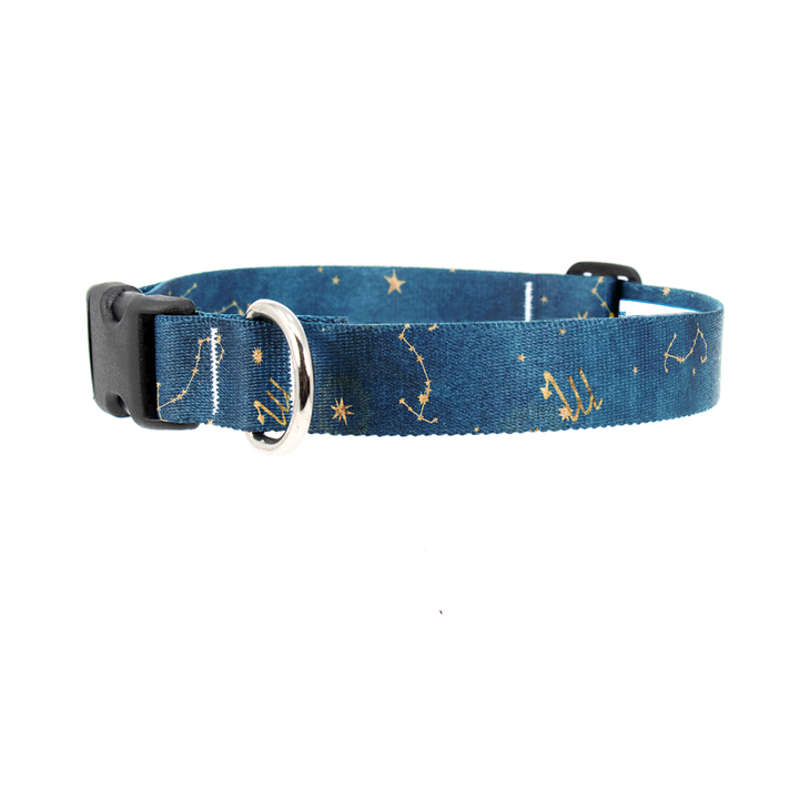 Zodiac Scorpio Dog Collar - Made in USA