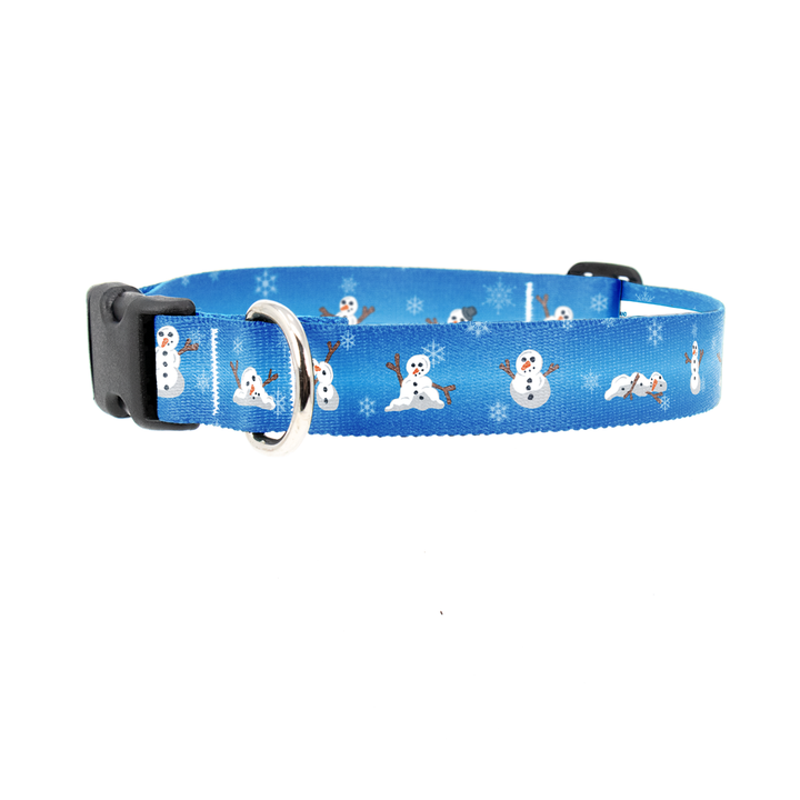 Meltdown Dog Collar - Made in USA