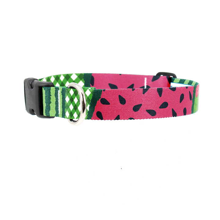 Watermelon Dog Collar - Made in USA