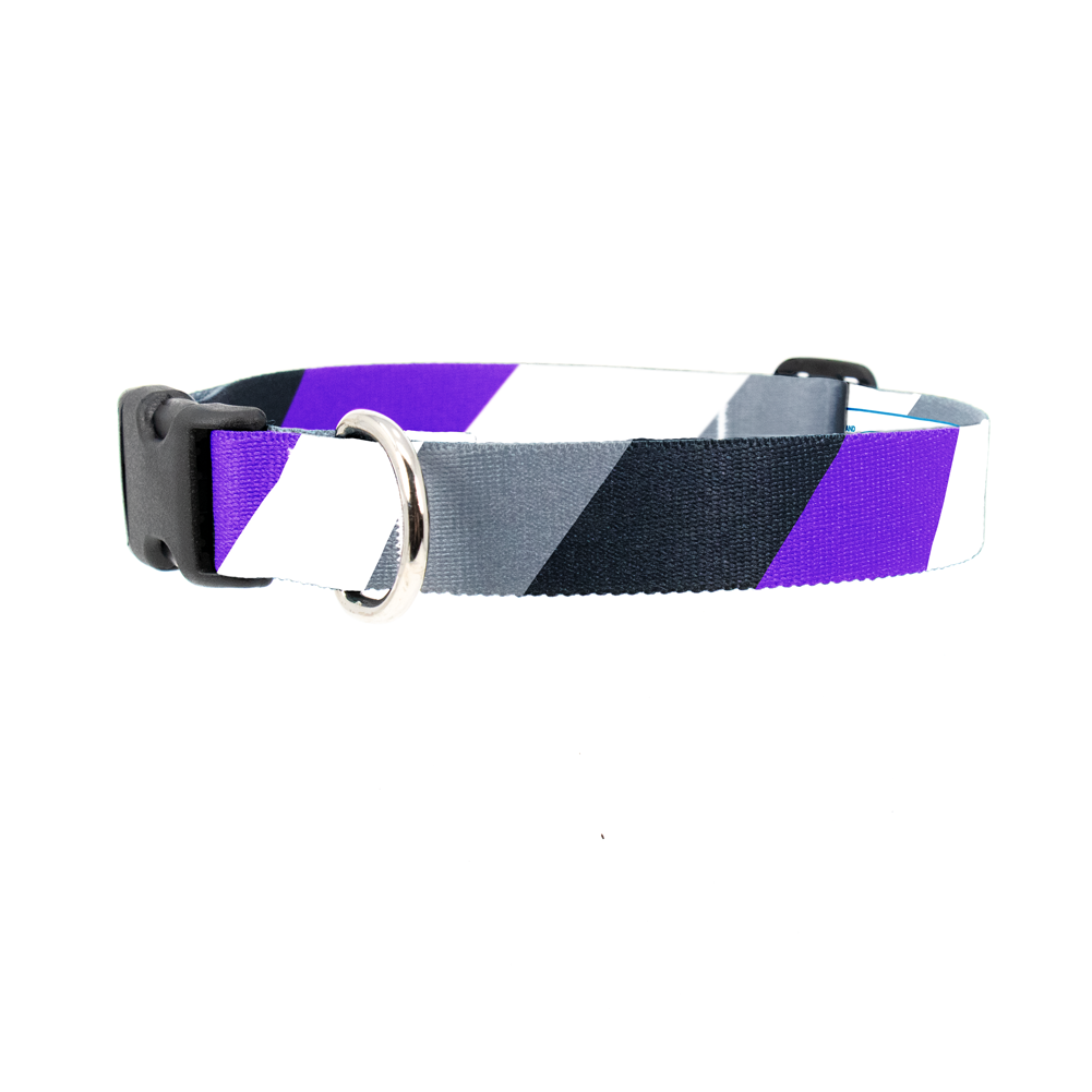 Asexual Pride Dog Collar - Made in USA