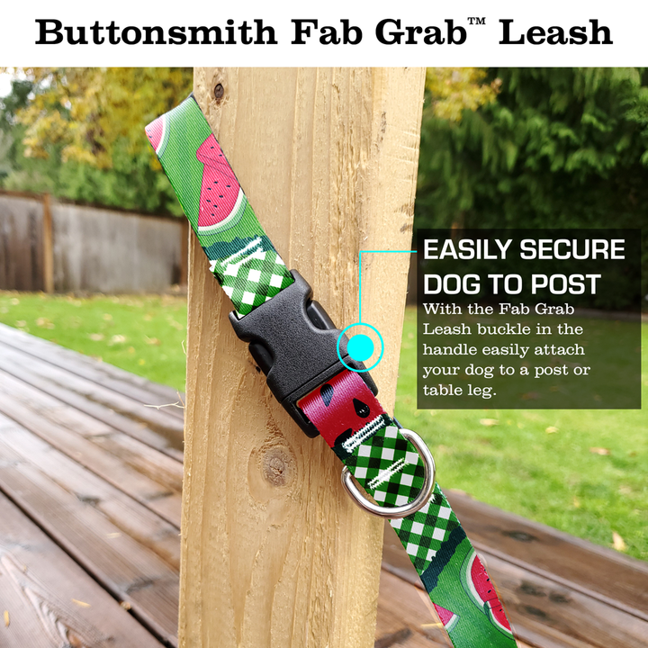 Watermelon Fab Grab Leash - Made in USA