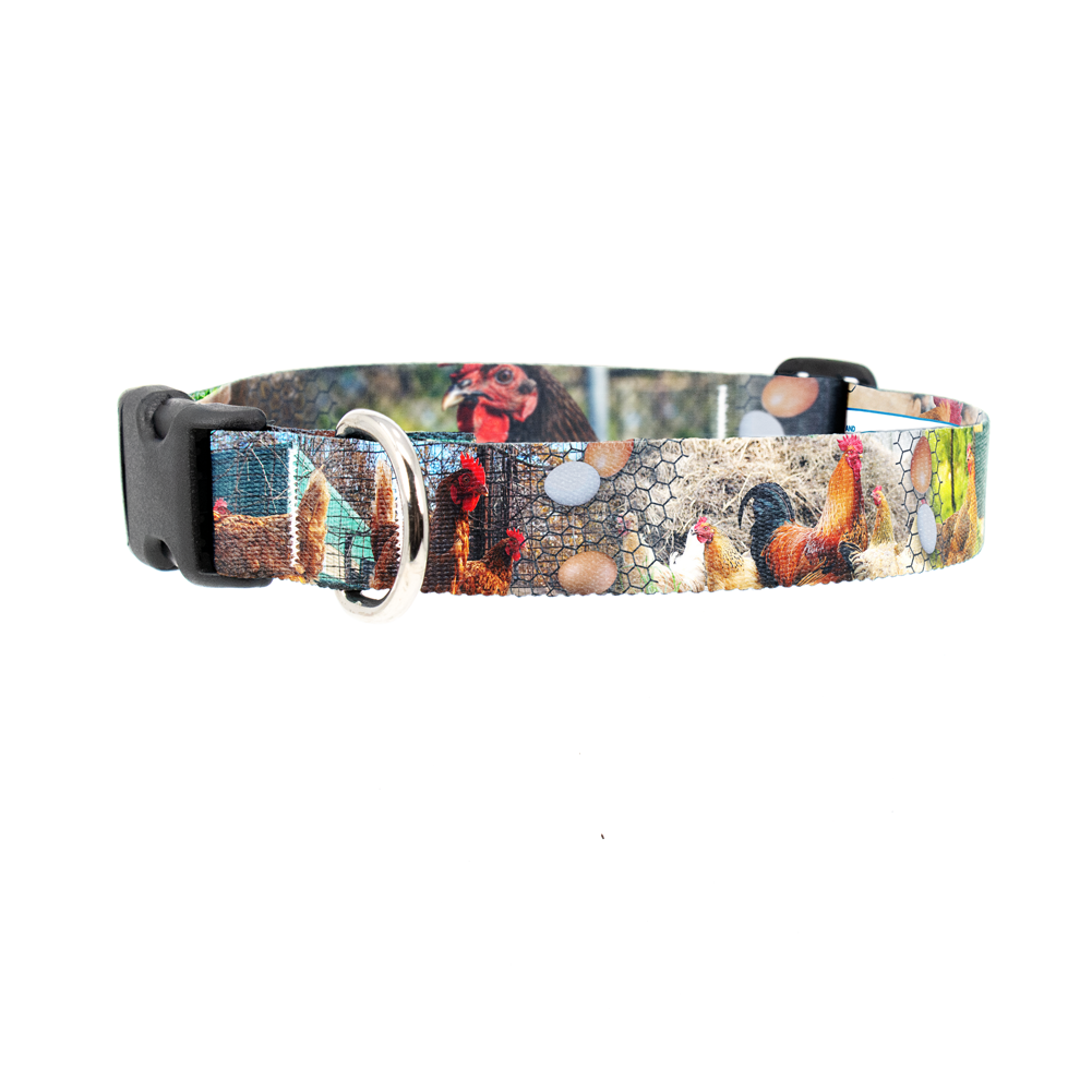 Chick Pix Dog Collar - Made in USA