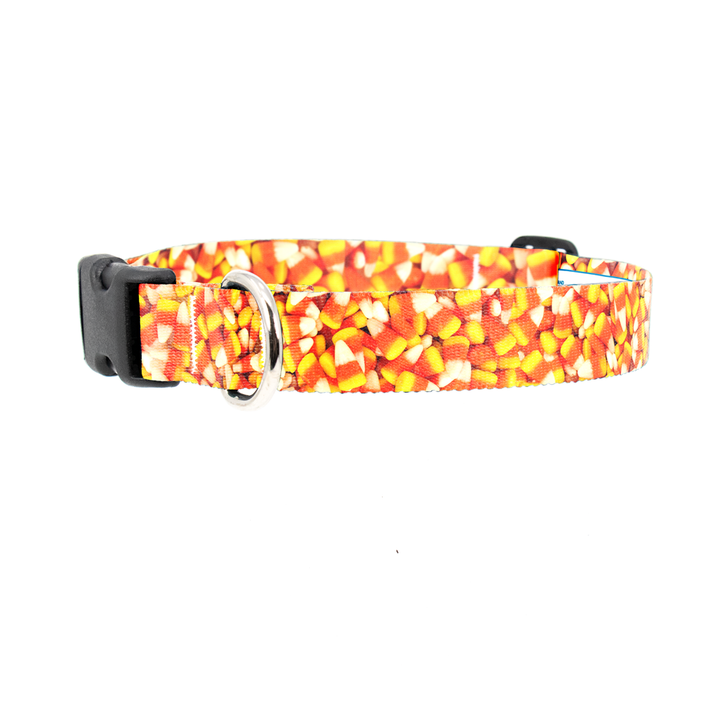 Candy Corn Dog Collar - Made in USA