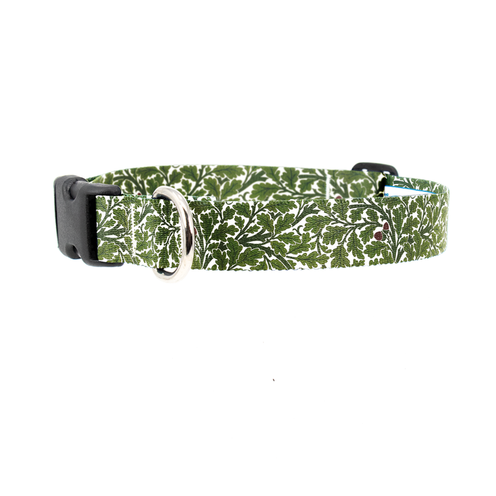 Morris Oak Dog Collar - Made in USA