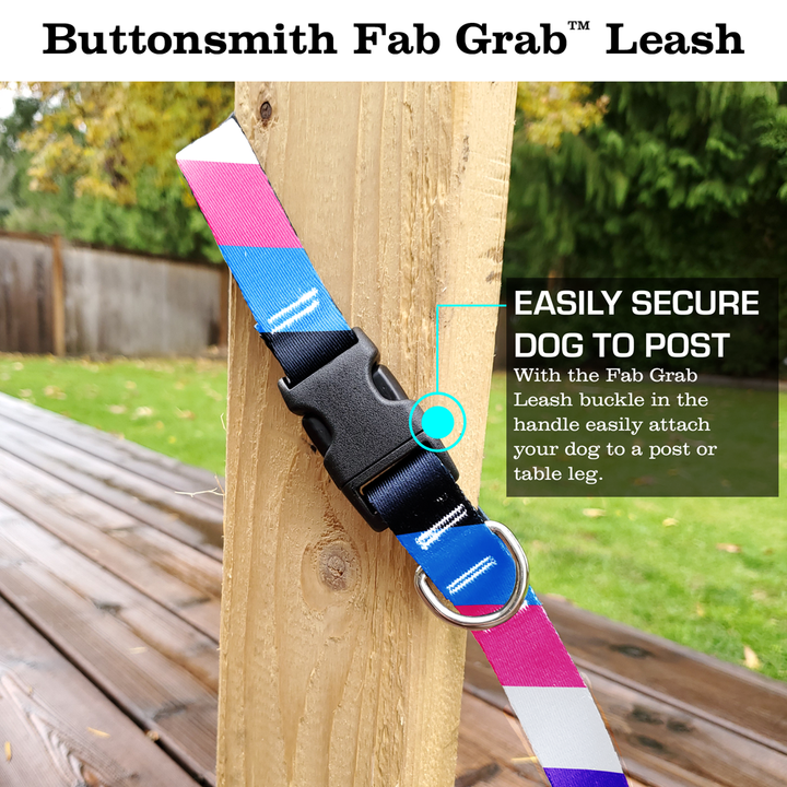 Pride Gender Fluid Fab Grab Leash - Made in USA