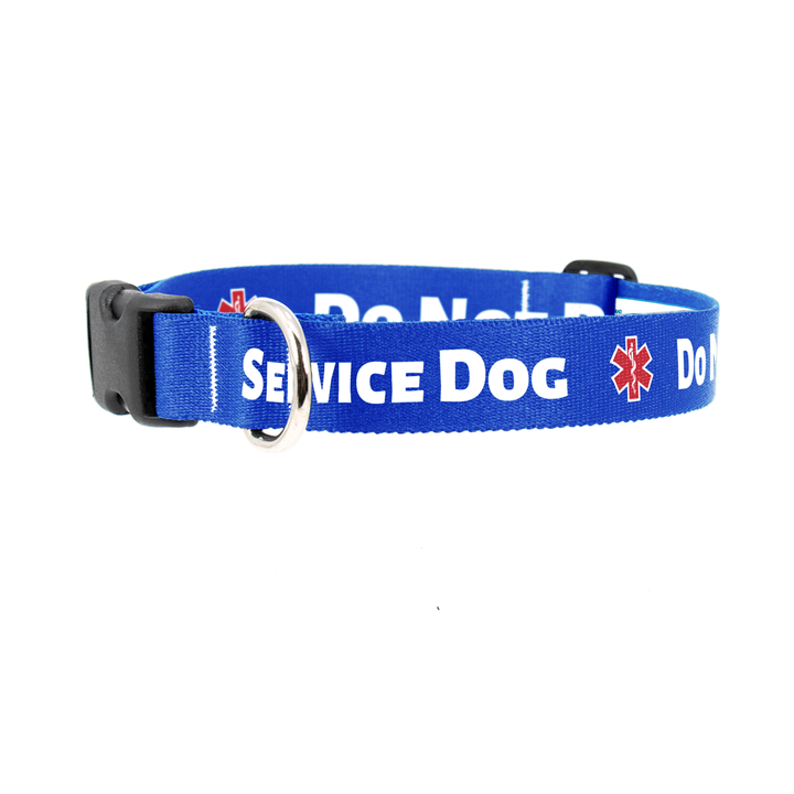 DoNotPet-Blue Dog Collar - Made in USA