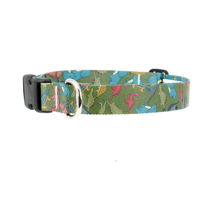 Dinosaurs Green Dog Collar - Made in USA