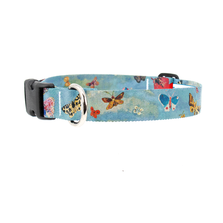 Odilon Butterflies Dog Collar - Made in USA