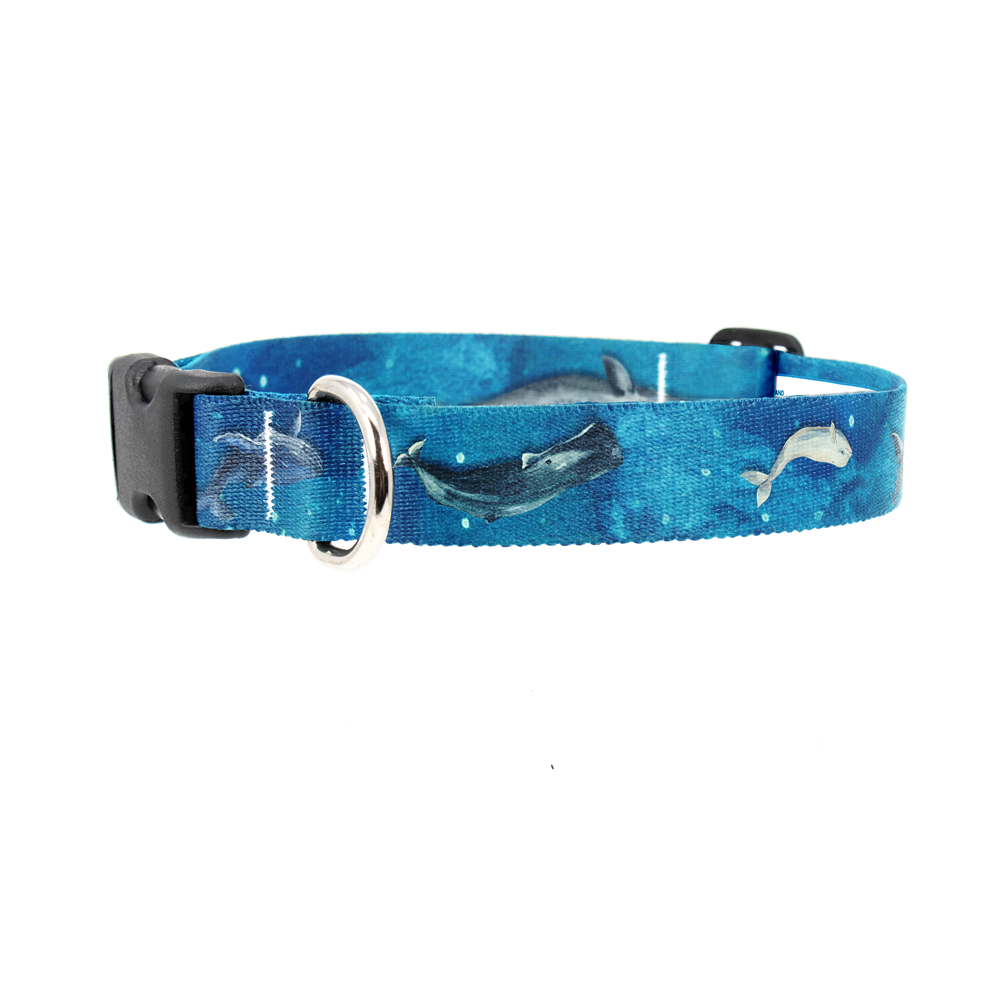 Whale Song Dog Collar - Made in USA