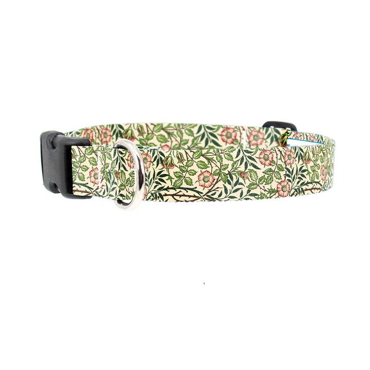 Morris Sweetbriar Dog Collar - Made in USA