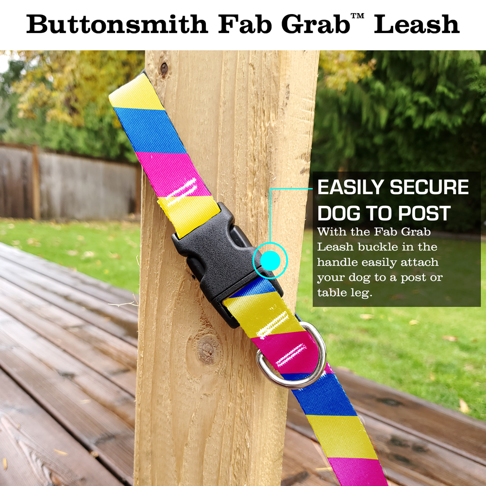 Pride Pansexual Fab Grab Leash - Made in USA