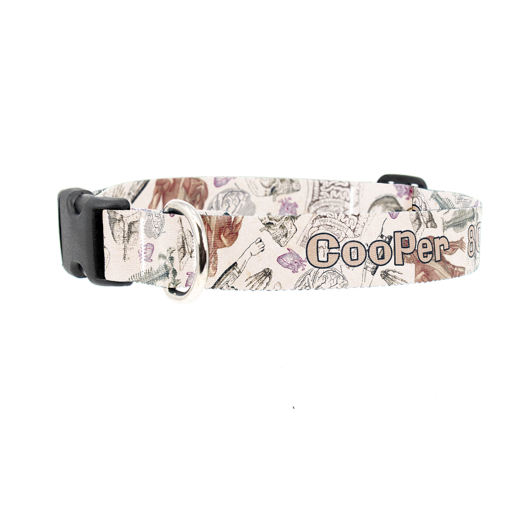 Buttonsmith Anatomy Custom Dog Collar - Made in USA