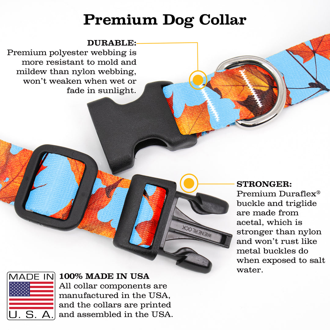 Fall Leaves Dog Collar - Made in USA