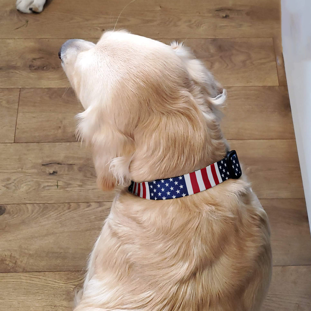 Flags Stars And Stripes Dog Collar - Made in USA