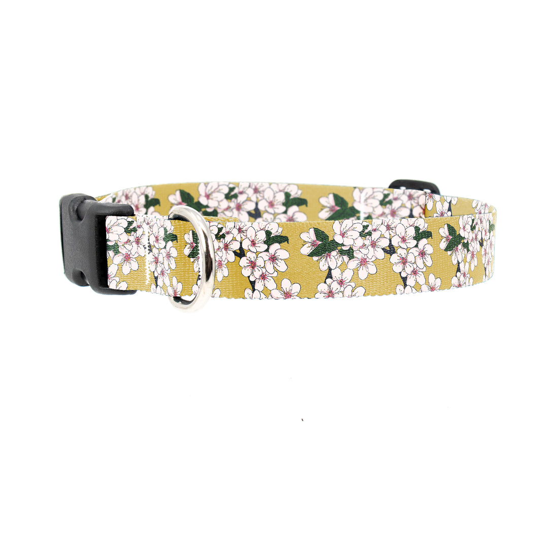 Gold Cherry Dog Collar - Made in USA