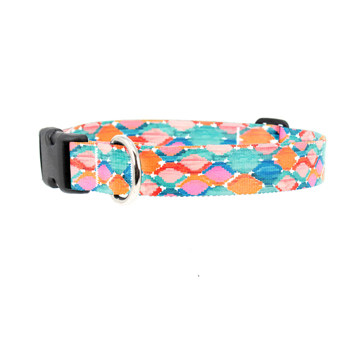 Ikat Marmalade Dog Collar - Made in USA