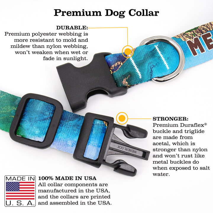 Buttonsmith Lagoon Custom Dog Collar - Made in USA