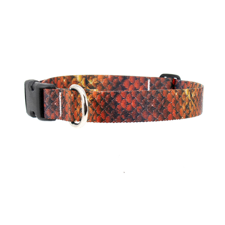 Mermaid Scales Orange Dog Collar - Made in USA