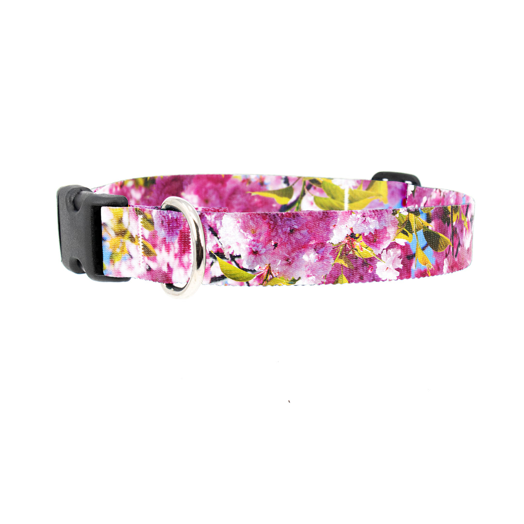 Photo Cherry Dog Collar - Made in USA