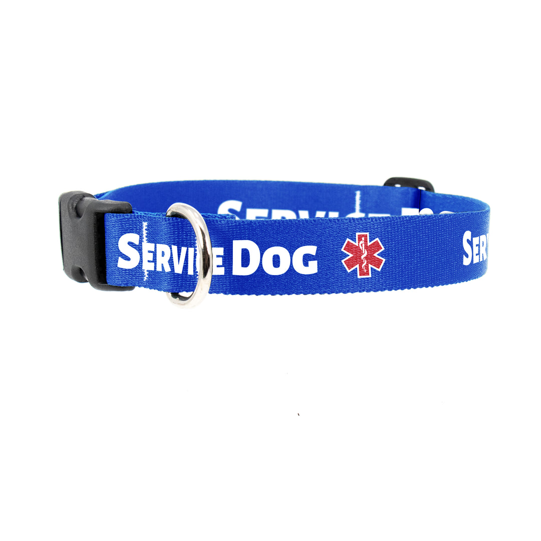 Service Dog Blue Dog Collar - Made in USA