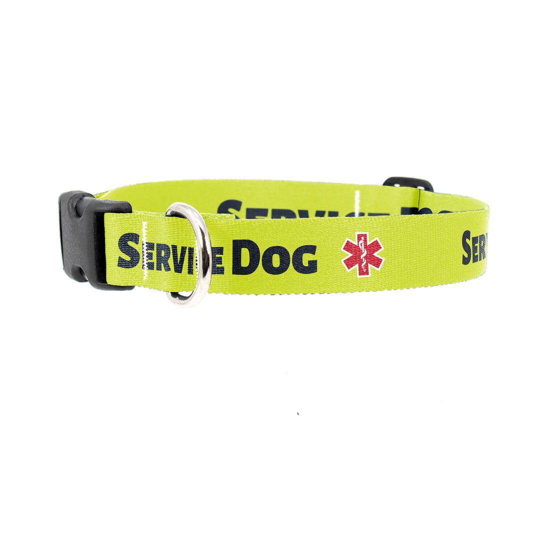 Service Dog High Visibility Yellow Dog Collar - Made in USA