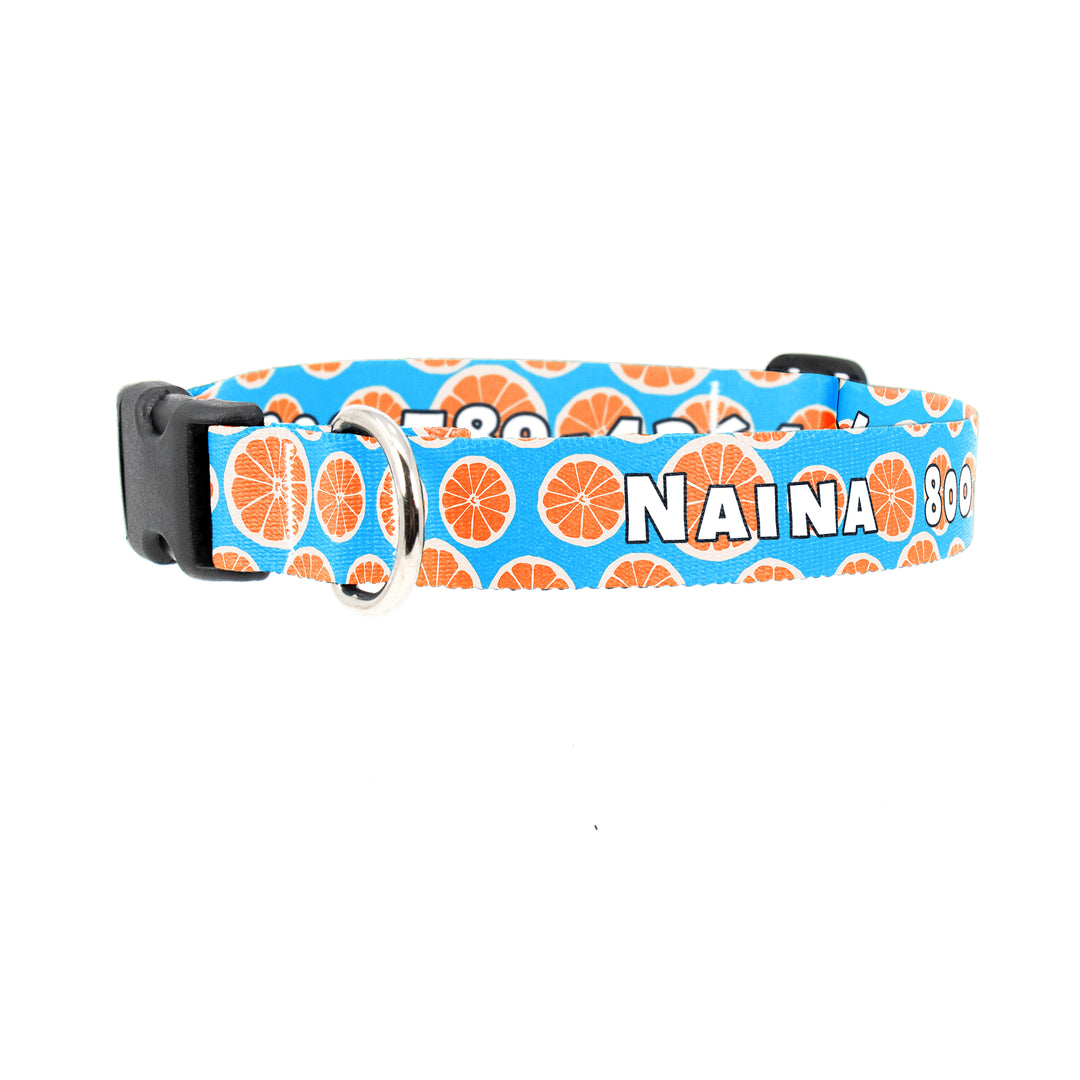 Buttonsmith Tangerine Dreams Custom Dog Collar - Made in USA