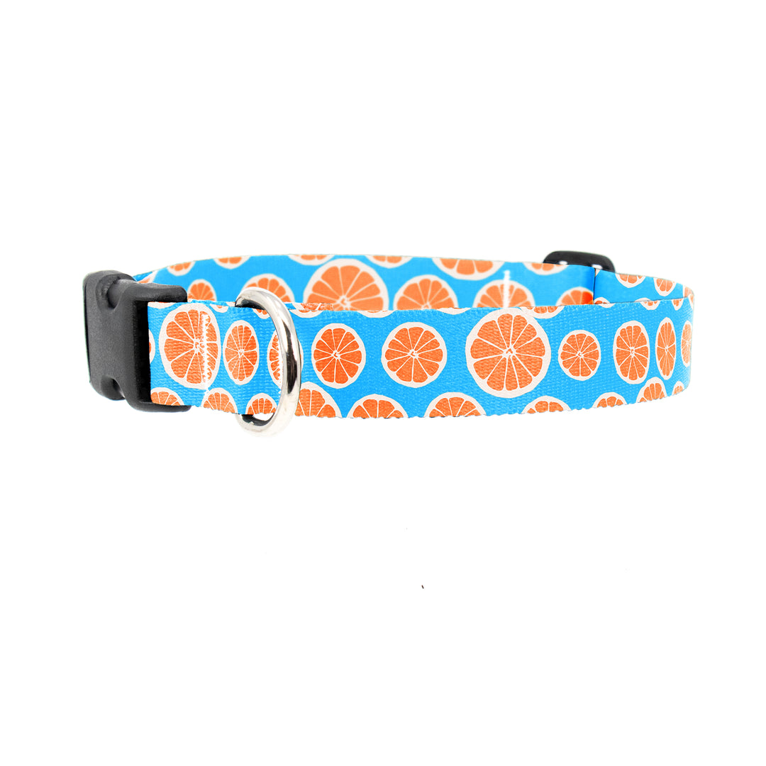 Tangerine Dreams Dog Collar - Made in USA