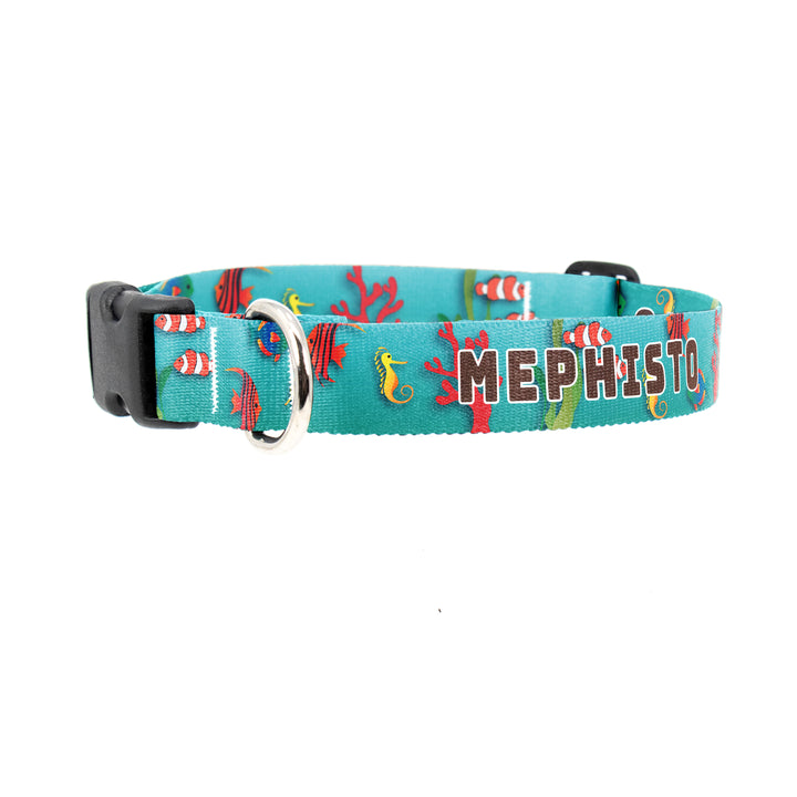 Buttonsmith Tropical Fish Custom Dog Collar - Made in USA