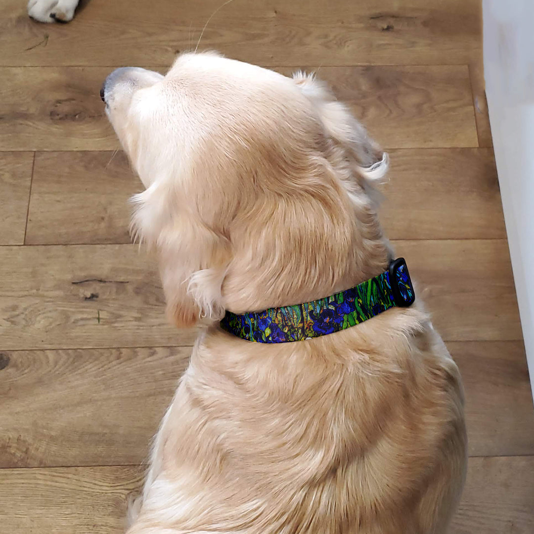 VanGogh Iris Dog Collar - Made in USA