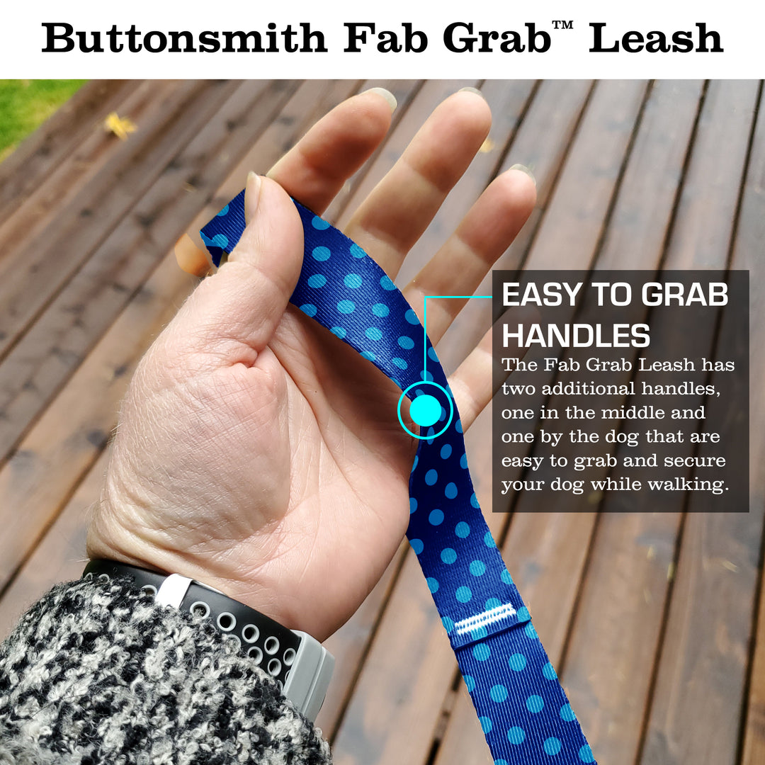 Blue Dots and Stripes Fab Grab Leash - Made in USA