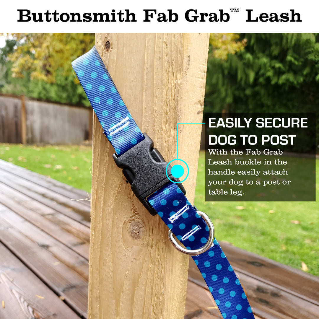 Blue Dots and Stripes Fab Grab Leash - Made in USA