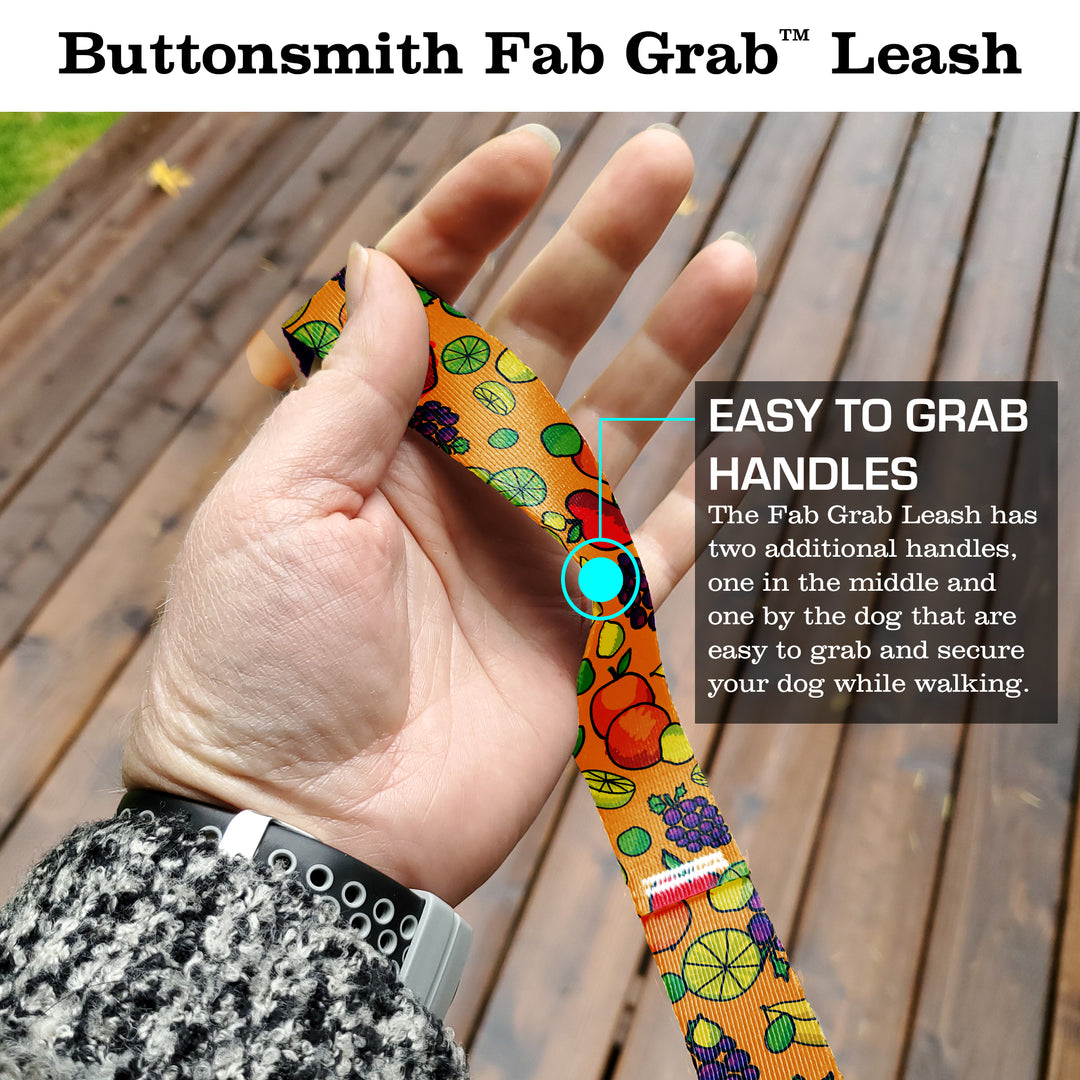 Fruit Frenzy Fab Grab Leash - Made in USA