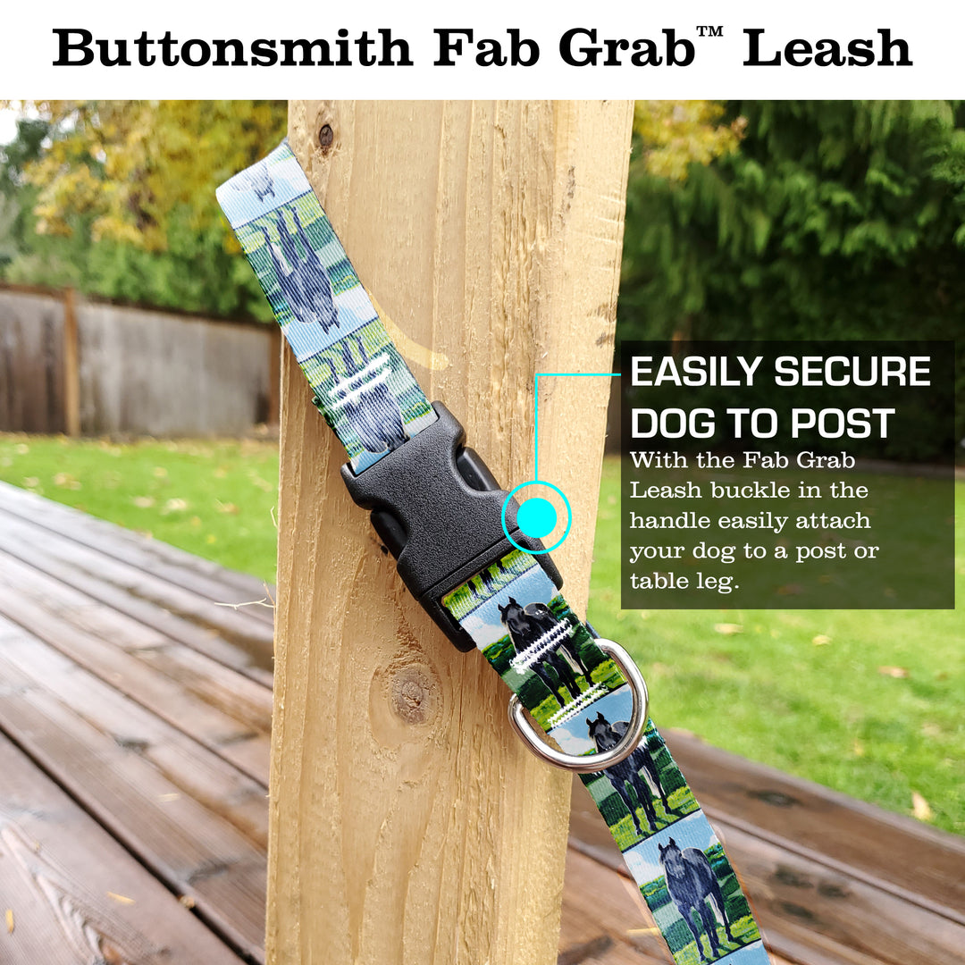 Rebecca McGovern Grey Horse Fab Grab Leash - Made in USA