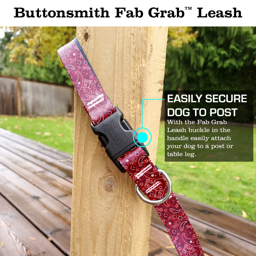 Pupaisley Fab Grab Leash - Made in USA