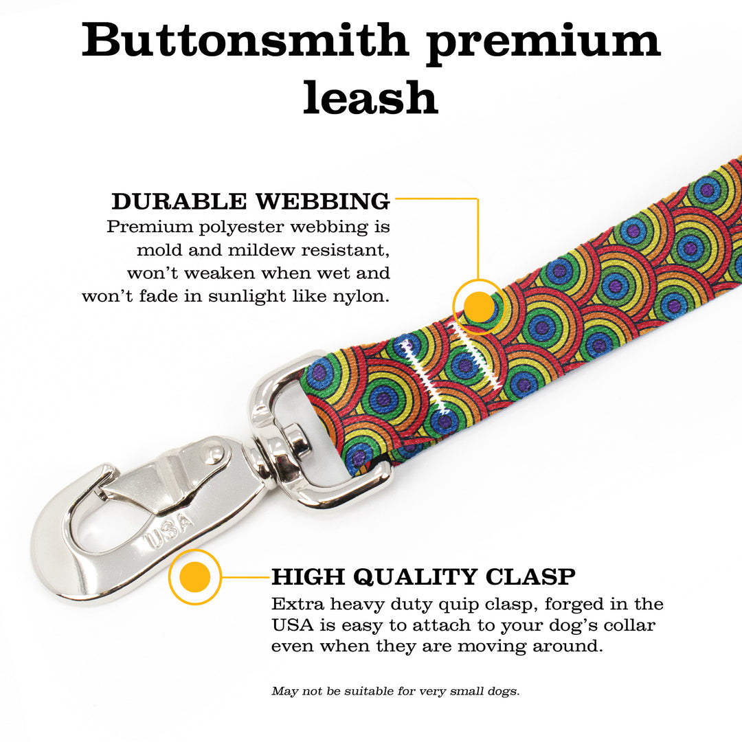 Rainbow Arches Fab Grab Leash - Made in USA